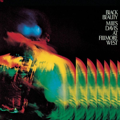 Miles Black Beauty