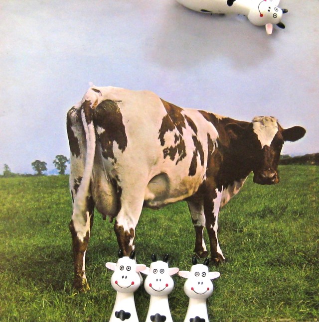 Strategically positioned floating cow obscures name graffiti and evokes Animals floating pig. What a smartypants.