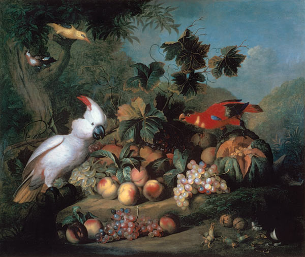 bogdani_fruit_birds