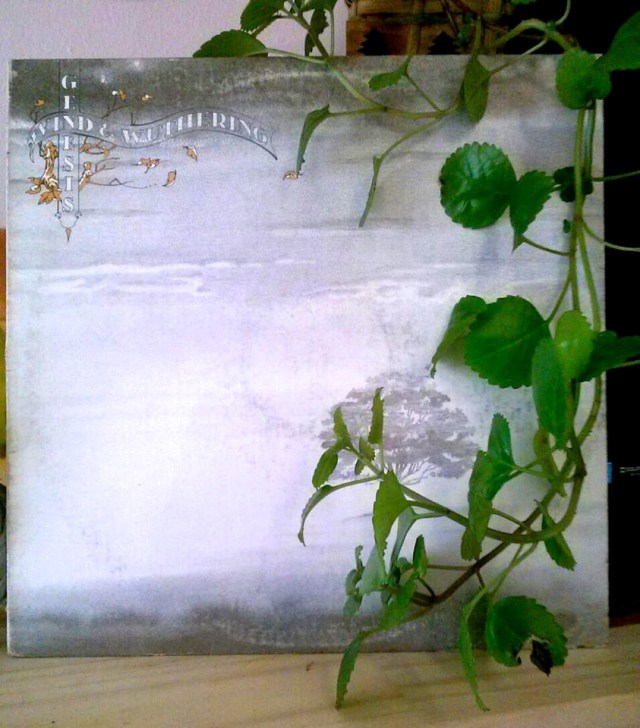 Wilma's Wind & Wuthering