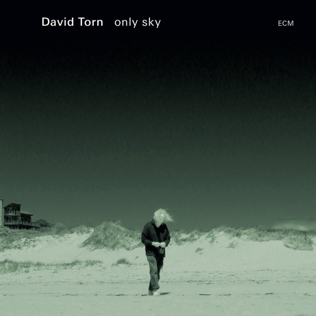 Torn, David - Only sky