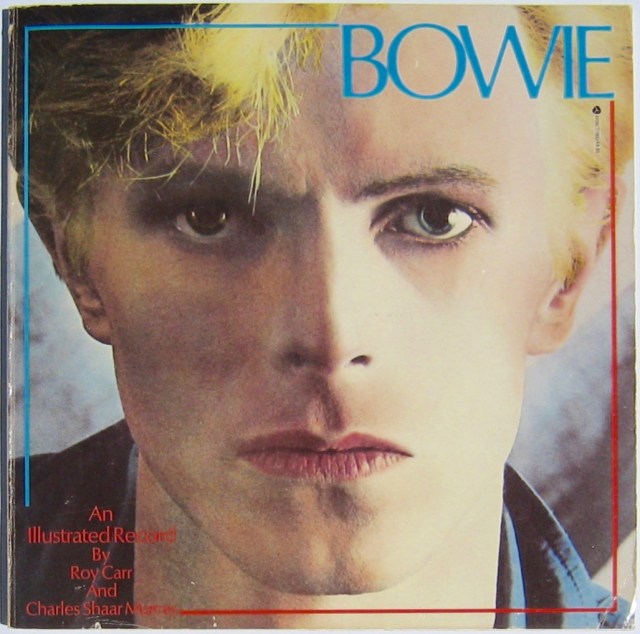 Bowie - an illustrated record