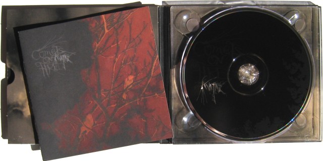 Comets on fire - avatar